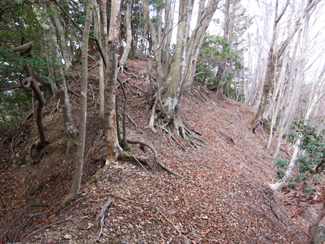 20200204hike (188)